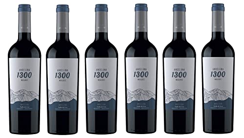 6x 0,75l - 2021er - Andeluna - 1300 - Malbec - Valle de Uco - Mendoza - Argentinien - Rotwein trocken von Andeluna