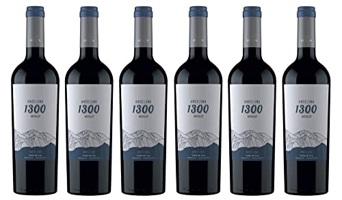 6x 0,75l - 2021er - Andeluna - 1300 - Merlot - Valle de Uco - Mendoza - Argentinien - Rotwein trocken von Andeluna