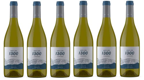 6x 0,75l - 2022er - Andeluna - 1300 - Chardonnay - Valle de Uco - Mendoza - Argentinien - Weißwein trocken von Andeluna