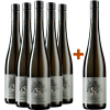 Andrea Schenter 2019 5+1 Paket Grüner Veltliner Reserve trocken von Andrea Schenter