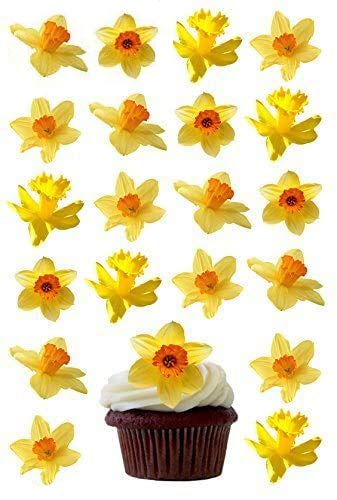 24 X DAFFODIL FLOWERS EDIBLE WAFER /RICE PAPER CUPCAKE CAKE TOPPERS BIRTHDAY PARTY EASTER DECORATION by Anglesit Flowers von Anglesit Flowers