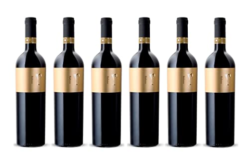 6x 0,75l - 2019er - Anno Domini 47 Vineyards - Raboso - Piave D.O.P. - Veneto - Italien - Rotwein trocken von Anno Domini 47 Vineyards