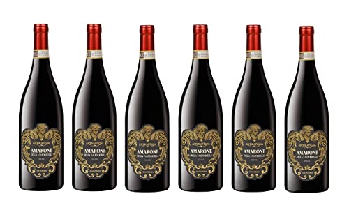 6x 0,75l - Tenute Salvaterra - Antica Vigna - Amarone della Valpolicella Classico D.O.C.G. - Veneto - Italien - Rotwein trocken von Antica Vigna