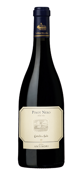 Pinot Nero Umbria IGT 2022 von Castello della Sala