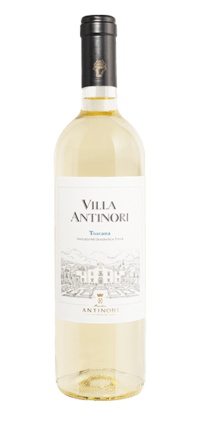 "Villa Antinori" Bianco Toscana IGT 2024 von Antinori