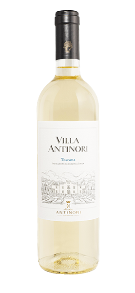 "Villa Antinori" Bianco Toscana IGT 2023 von Antinori