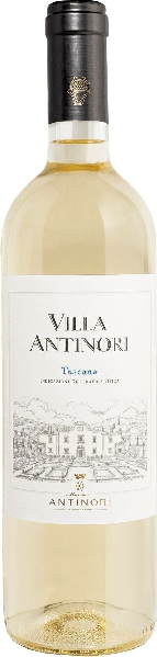 Antinori Villa Bianco Toscana IGT Jg. 2022 Cuvee aus 50 Proz. Trebbiano Malvasia, 35 Proz. Pinot Grigio + P. Bianco, 15 Proz. Riesling Renano von Antinori