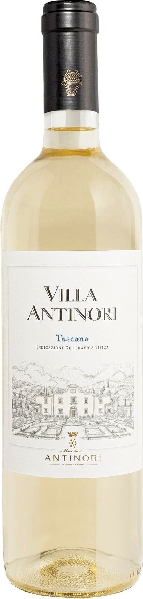 Antinori Villa Bianco Toscana IGT Jg. 2023 Cuvee aus 50 Proz. Trebbiano Malvasia, 35 Proz. Pinot Grigio + P. Bianco, 15 Proz. Riesling Renano