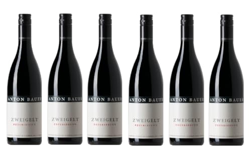 6x 0,75l - 2019er - Anton Bauer - Feuersbrunn - Zweigelt - Wagram - Österreich - Rotwein trocken von Anton Bauer