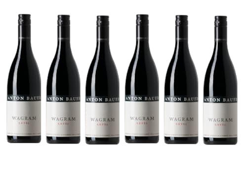 6x 0,75l - 2019er - Anton Bauer - Wagram Cuvée - Zweigelt & Cabernet Sauvignon - Wagram - Österreich - Rotwein trocken von Anton Bauer