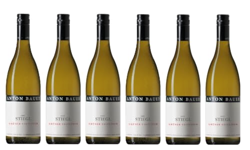 6x 0,75l - 2021er - Anton Bauer - Ried Stiegl - Grüner Veltliner - Wagram - Österreich - Weißwein trocken von Anton Bauer