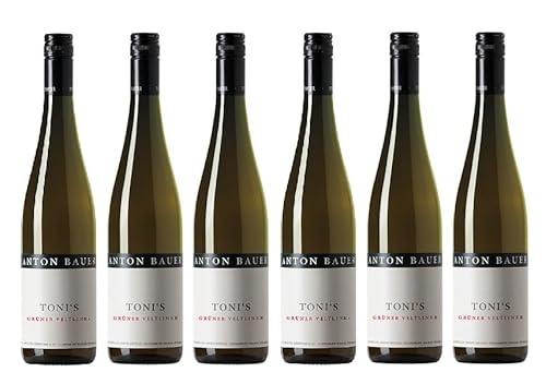 6x 0,75l - 2021er - Anton Bauer - Toni's Grüner Veltliner - Wagram - Österreich - Weißwein trocken von Anton Bauer