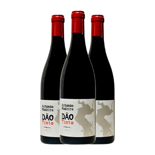 Antonio Madeira Tinto Dão 75 cl Rotwein (Karton mit 3 Flaschen von 75 cl) von Antonio Madeira