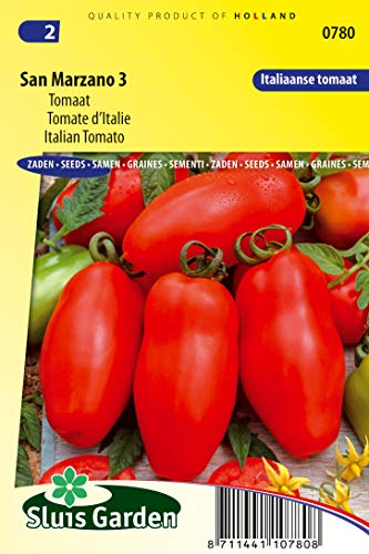 Tomato San Marzano 3 Gemüsesamen pro Gramm – Eine echte italienische Tomate, ideal für die Haut und für sonnengetrocknete Tomaten – 0,2 g – Samen pro Gramm: +/-75 von Arborix