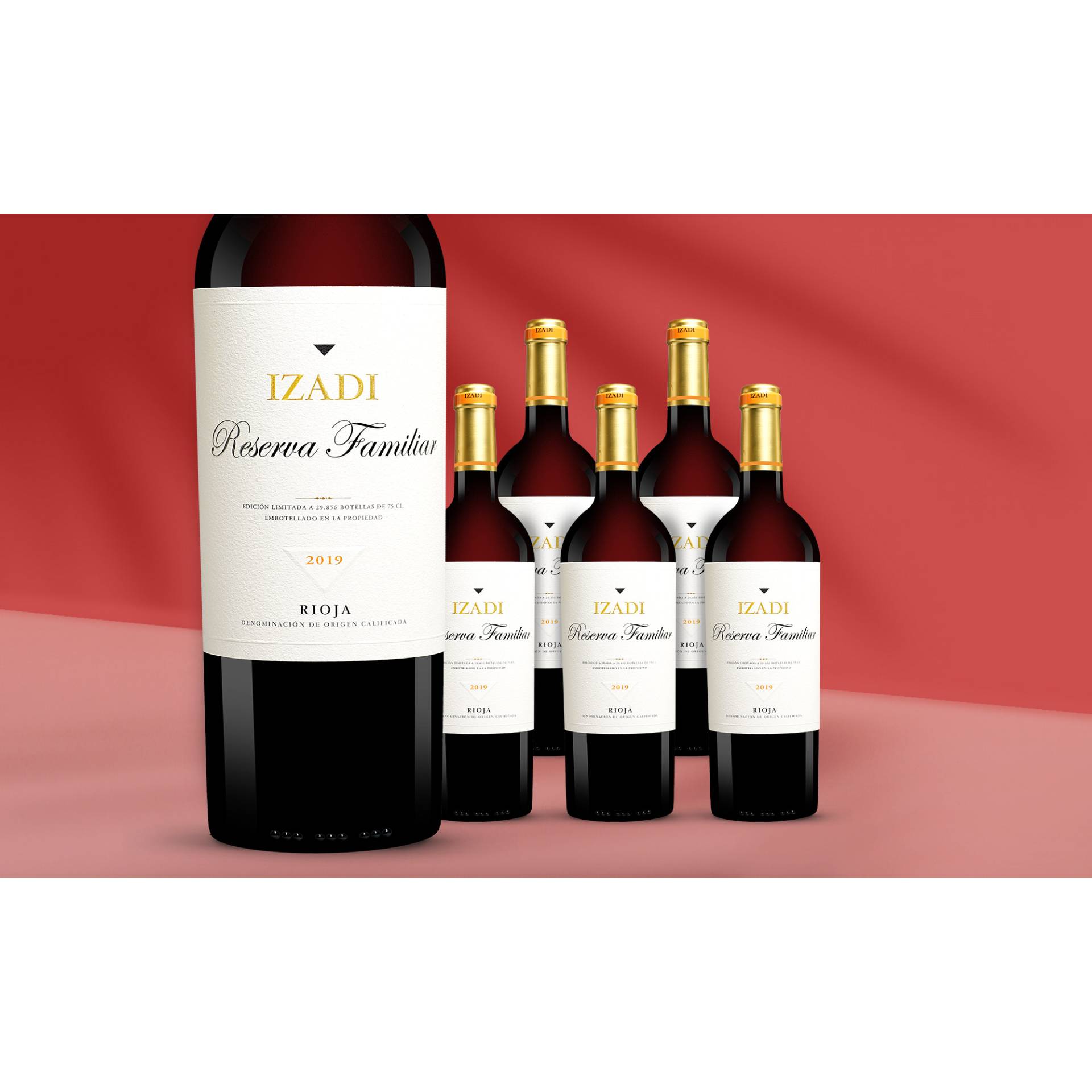 Izadi Tinto »Reserva Familiar« Reserva 2019  4.5L 14.5% Vol. Weinpaket aus Spanien von Artevino - Izadi