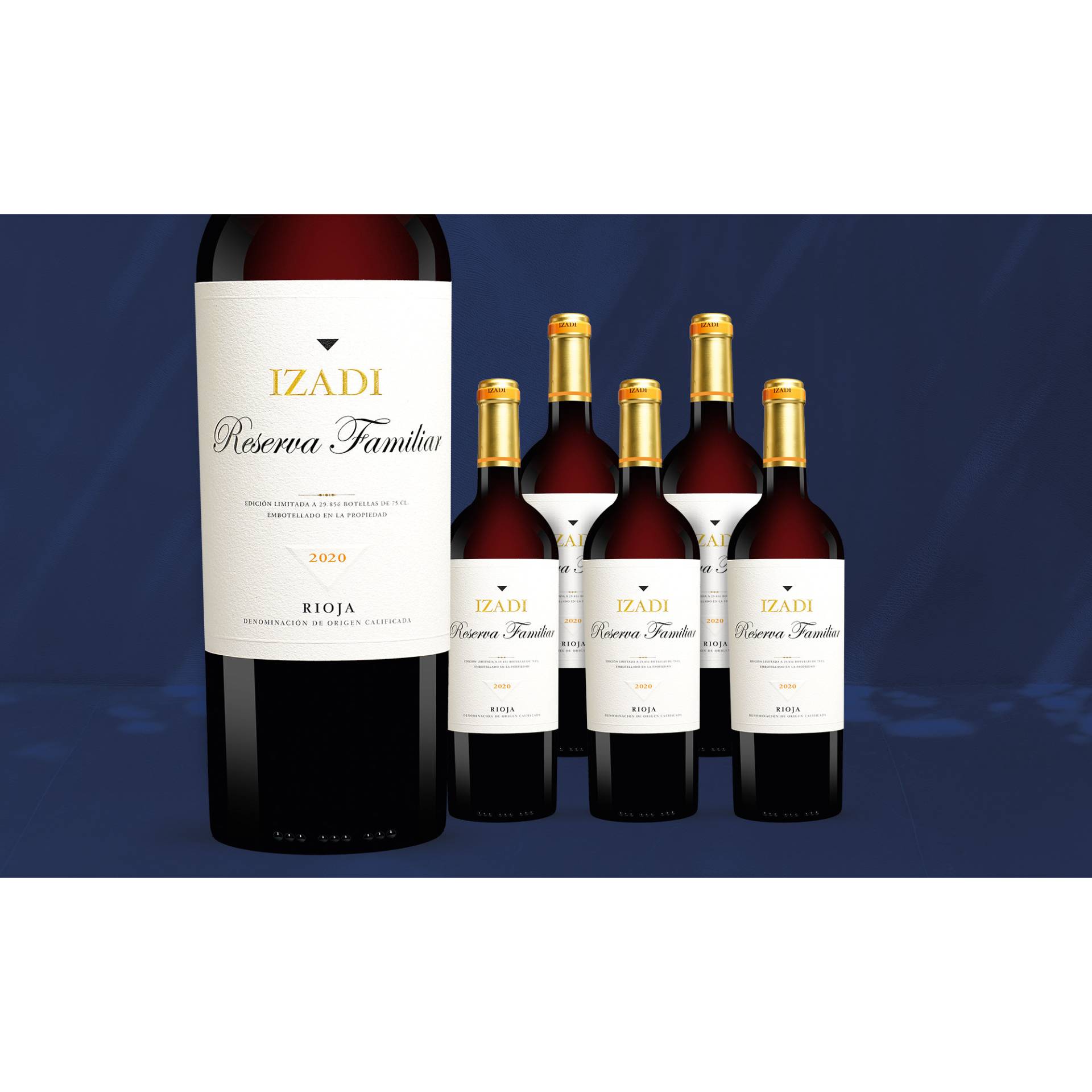 Izadi Tinto »Reserva Familiar« Reserva 2020  4.5L 14.5% Vol. Weinpaket aus Spanien von Artevino - Izadi