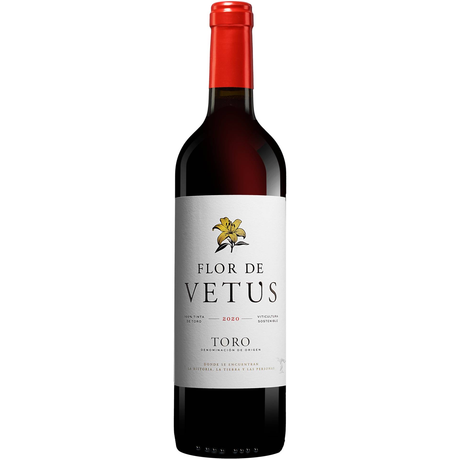 Vetus »Flor de Vetus« 2020  0.75L 14.5% Vol. Rotwein Trocken aus Spanien von Artevino - Vetus