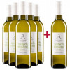 Artisan Wines 2023 5+1 Paket \"Pure\"" Welschriesling trocken" von Artisan Wines