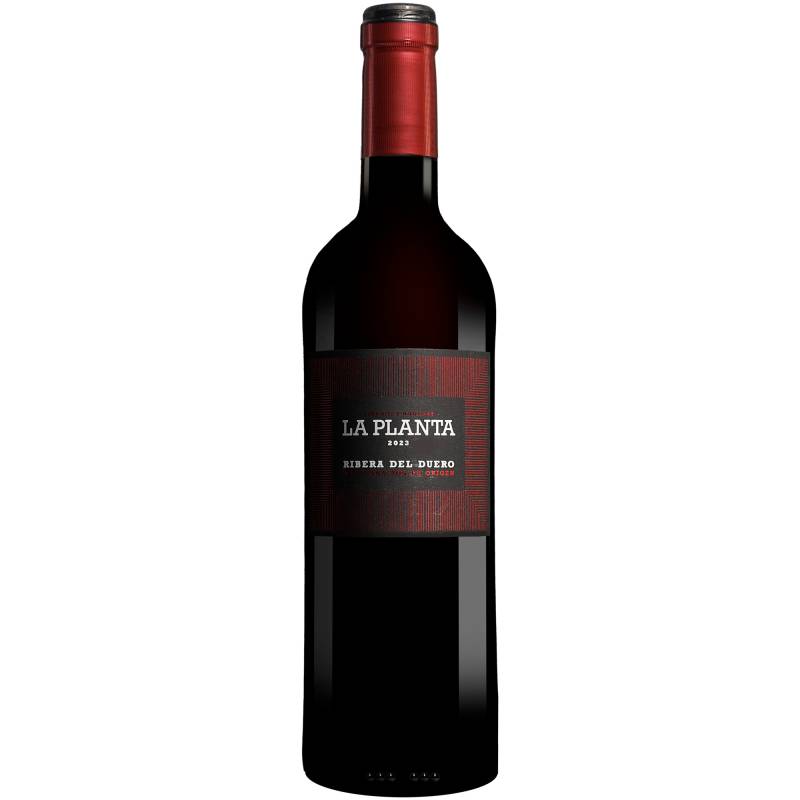 Arzuaga La Planta 2023  0.75L 14% Vol. Rotwein Trocken aus Spanien von Arzuaga