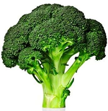 VISA STORE 300 Samen - Early Fl Rapini Broccoli ica Ruvo von Astonish