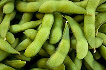 VISA STORE BeSweet Früh Edamame Essbare Soyb 25 Samen Bio-Non-GMO Japanease Treat von Astonish