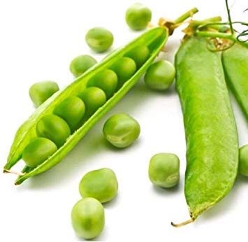 VISA STORE Green Arrow ow Pea 50 Samen Pisum sativum Non GMO von Astonish