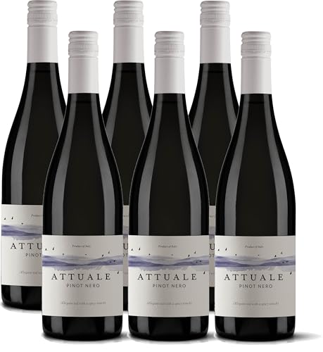 ATTUALE Pinot Noir Veneto I.G.T. - 6 bottles von Attuale