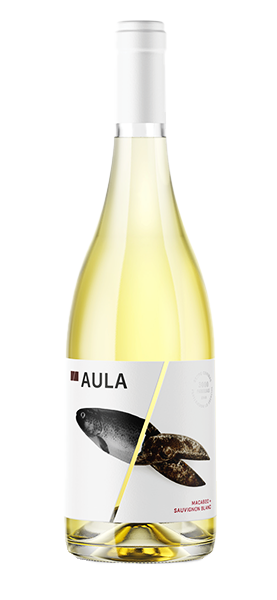 Macebeo Sauvignon Blanc 2023 von Aula Grupo CoviÃ±as