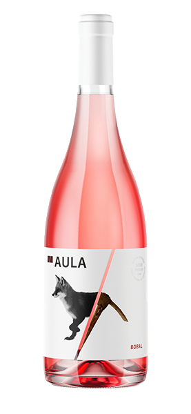 Bobal Rosé 2023 von Aula Grupo Coviñas