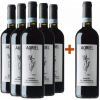 Auriel 2020 5+1 Paket Barbera del Monferrato DOC von Auriel