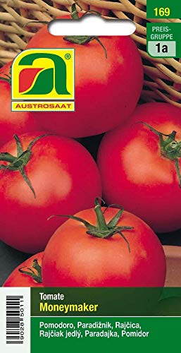 Austrosaat 169 Tomate Moneymaker (Tomatensamen) von Austrosaat