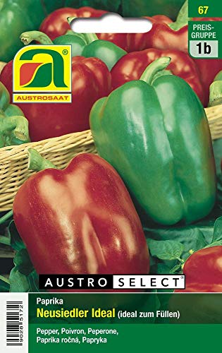 Austrosaat 67 Paprika Neusiedler Ideal (Paprikasamen) von Austrosaat