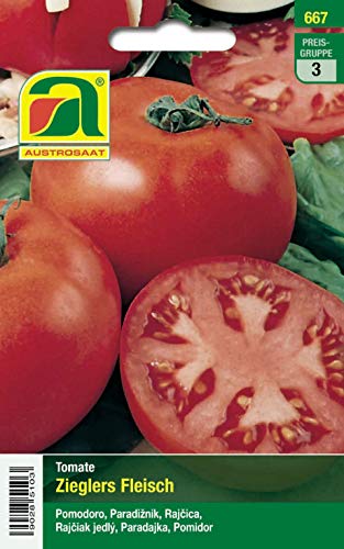 Tomate, Zieglers Fleisch von Austrosaat