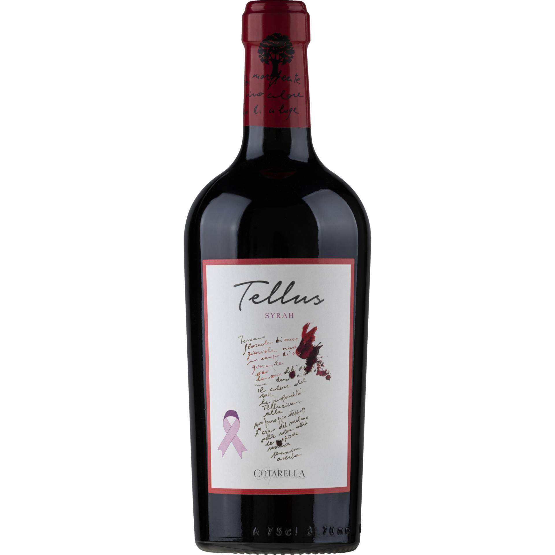 Tellus Syrah Lazio, Vino Rosso Umbria IGP, Umbrien, 2021, Rotwein von Az. Vinicola Falesco Srl.,05020,Montecchio TR,Italien