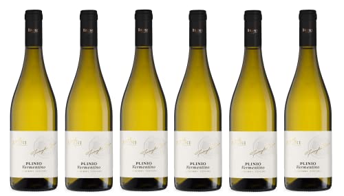 6x 0,75l - 2023er - Bruni - Plinio - Vermentino - Maremma Toscana D.O.P. - Italien - Weißwein trocken von Azienda Agricola Bruni