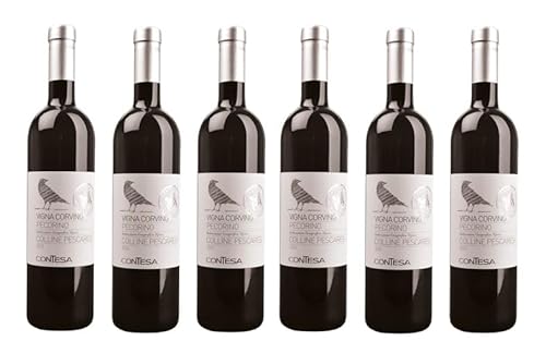 6x 0,75l - 2023er - Contesa - Vigna Corvino - Pecorino - Collini Pescaresi I.G.P. - Abruzzen - Italien - Weißwein trocken von Azienda Agricola Contesa