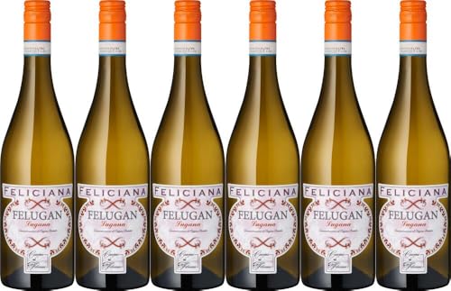 6x Feliciana Felugan Lugana Lombardei 2023 - Azienda Agricola Feliciana, Lombardia - Weißwein von Azienda Agricola Feliciana