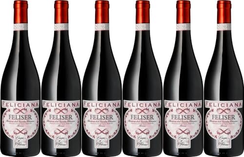 6x Feliser Riviera Feliciana 2022 - Azienda Agricola Feliciana, Lombardia - Rotwein von Azienda Agricola Feliciana