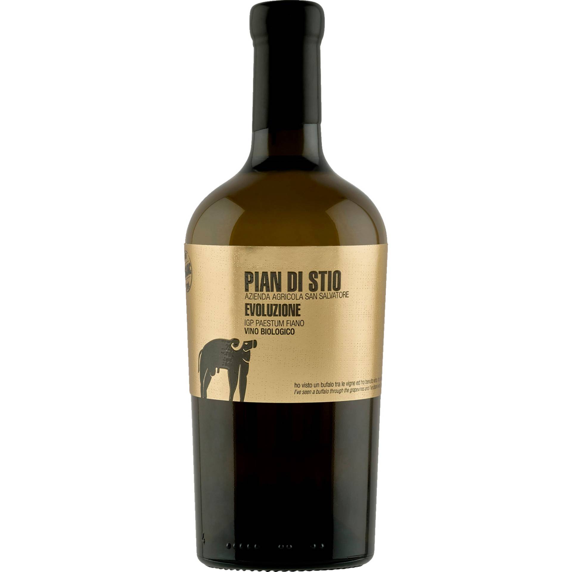 San Salvatore Piani di Stio Evoluzione Fiano, Paestum IGP, Kampanien, 2019, Weißwein von Azienda Agricola San Salvatore, IT-84075 Stio (Sa)