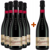 Bertolani Alfredo 2023 5+1 Paket Lambrusco Reggiano DOC von Azienda Vinicola Bertolani Alfredo