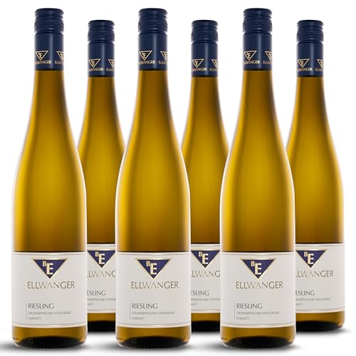 2023er Riesling Großheppacher Steingrüble Kabinett – 2. Platz „Best of Riesling“ | Fruchtiger Biowein mit Aromen von Aprikosen und Pfirsichen | Weißwein Halbtrocken aus Württemberg (6x0,75) von BE ELLWANGER