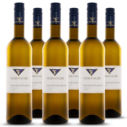 2023er Sauvignon Blanc Höhenluft – Hochbewerteter Weißwein trocken mit frischen Aromen von Cassis, Pfefferminze & Stachelbeeren, 91 Punkte Falstaff Sauvignon Trophy (6x 0,75 Liter) von BE ELLWANGER