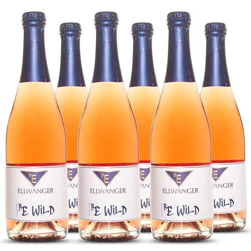 BEWiLD Perlwein Sekt – Spritziger Perlwein für unvergessliche Momente – Knackiger Genuss mit verspielten Aromen – Perfekt für Prosecco-Fans und als Aperitif (6 Flachen, 4500, milliliter) von BE ELLWANGER