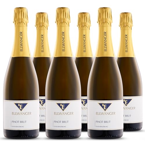 BE ELLWANGER - 2020er Pinot Sekt brut - Spätburgunder Schaumwein mit feinen Brioche- und Krokantnoten - Perfekt für besondere Anlässe - Feine Perlage & langes Finale (6x0,75 L, 4500, milliliter) von BE ELLWANGER