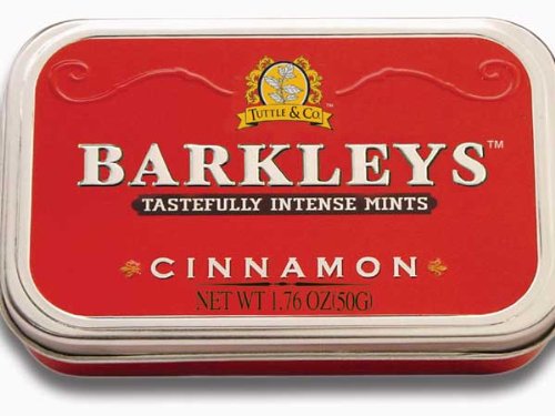 Barkleys Cinnamon - Pastillen mit Zimt-Geschmack, 1x 50g von BFYSYO