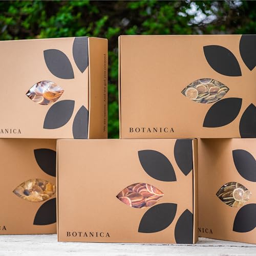 BOTANICA getrocknete Apfel | 1kg geschnittene Scheiben | Ideal für Desserts, warme Getränke und Cocktails von BOTÁNICA