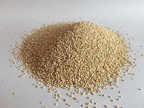 Bio Quinoa 500 g von Bäckerei Spiegelhauer