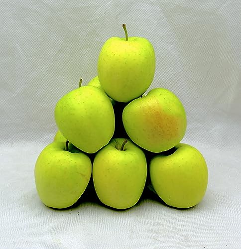 BAMELO® Äpfel Golden Delicious frische,säftige Äpfel Box 3 Kg von Bamelo