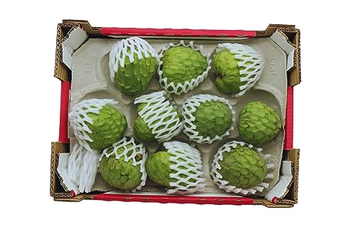 BAMELO® Cherimoya frische exotiche Box 3 Kg (10er Stück) von Bamelo