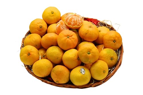 BAMELO® Satsuma Mandarinen frische,säftige Zitrius Box 5 Kg von Bamelo